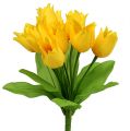 Floristik24 Tulip bush Amarelo H30cm