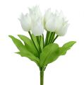 Floristik24 Arbusto de tulipa branco 30cm