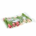 Floristik24 Mistura de tulipas com flores artificiais rosa damasco 16 cm 12 unidades