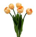 Floristik24 Buquê de tulipa damasco 43cm