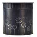 Floristik24 Vaso de flores dente-de-leão preto Ø15,5cm Alt.15,5cm