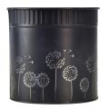 Floristik24 Vaso de flores dente-de-leão preto Ø9,5cm Alt.11cm