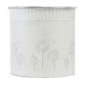 Floristik24 Vaso de flores dentes-de-leão brancos Ø10,5cm Alt.12cm