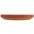 Floristik24 Porta-copos barro terracota, vaso de cerâmica Ø17,5cm