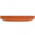 Floristik24 Base para copos, tigela de barro, cerâmica de terracota Ø6,2cm