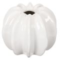 Floristik24 Vaso de cerâmica em formato de abóbora, branco, para decoração de casa, 15 cm