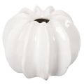 Floristik24 Vaso decorativo em formato de abóbora, com acabamento brilhante, ideal para decoração de outono na sala de estar, 19 cm