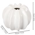 Vaso decorativo em formato de abóbora, com acabamento brilhante, ideal para decoração de outono na sala de estar, 19 cm | Floristik24.pt