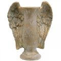 Floristik24 Vaso decorativo feito de concreto, ânfora com asas de anjo dourado aspecto vintage W20,5cm A26cm