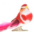 Floristik24 Pássaro no clipe rosa, rosa 15cm 12pcs