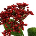 Floristik24 Berry branch red viburnum berries 54cm 4pcs