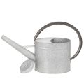 Regador vintage de metal,