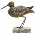 Floristik24 Escultura de madeira para banheiro decoração de pássaros aquáticos H22cm