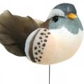 Floristik24 Decoração de pássaros, pássaros em arame, decoração de primavera azul, marrom H3.5cm 12pcs