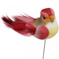 Floristik24 Primavera, pássaro no fio, plugues de flores coloridas H2.5cm 24pcs
