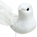 Floristik24 Pombas brancas, casamento, pombas decorativas, pássaros em arame H6cm 6pcs