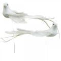 Floristik24 Pombas brancas, casamento, pombas decorativas, pássaros em arame H6cm 6pcs