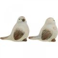 Floristik24 Pássaros de cerâmica, primavera, pássaros decorativos branco, marrom H7/7.5cm 6pcs