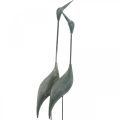 Floristik24 Par de pássaros, decoração em metal, aves aquáticas Prata, branco lavado H74cm