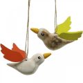 Floristik24 Deco pássaros de madeira para pendurar pássaro decoração de primavera 10,5 cm 6 pçs