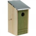 Floristik24 Caixa de nidificação para pendurar, ajuda de nidificação para pássaros pequenos, casa de passarinho, decoração de jardim natural, verde H26cm Ø3.2cm