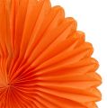 Floristik24 Flor de papel favo de mel laranja Ø20cm 3pcs