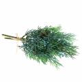 Floristik24 Deco ramo zimbro com cones verde, azul lavado 25cm 2pcs
