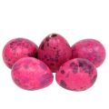 Floristik24 Ovos de codorna rosa 3,5-4 cm Ovos soprados decoração de Páscoa 50 unidades