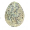 Floristik24 Variedade de ovos de codorna verde natureza 3cm 62uds