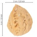 Nozes para decoração, produto natural, 3-4 cm, 300 g | Floristik24.pt