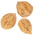 Nozes, um produto natural para decoração de mesa e projetos de bricolagem. Nozes naturais, 4-5 cm, 300 g. | Floristik24.pt