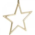 Floristik24 Estrela de decoração de natal, decoração do advento, pingente de estrela dourada B24.5cm