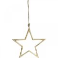 Floristik24 Estrela de decoração de natal, decoração do advento, pingente de estrela dourada B24.5cm