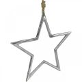 Floristik24 Estrela de decoração de natal, decoração do advento, pingente de estrela prata W24.5cm