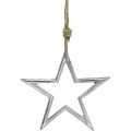 Floristik24 Estrela de decoração de natal, decoração do advento, pingente de estrela prata W15,5cm