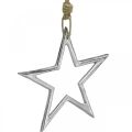 Floristik24 Estrela de decoração de natal, decoração do advento, pingente de estrela prata W15,5cm