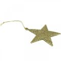 Floristik24 Pingente de estrela de decoração de natal glitter dourado 10cm 12uds