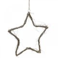 Floristik24 Estrela de decoração de natal estrelas lavadas de branco para pendurar olmo 30 cm 4 peças