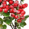Floristik24 Ramos de Natal com frutos vermelhos, decoração de inverno, harpberry vermelho nevado L58cm