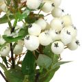 Floristik24 Ramos de natal, snowberry, planta artificial nevada L58cm