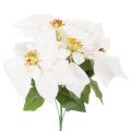 Floristik24 Poinsétia artificial branca, flor grande, planta decorativa, 40 cm