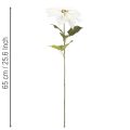 Poinsétia artificial branca, galho grande florido para decoração, 65 cm, 2 peças | Floristik24.pt