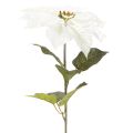 Poinsétia artificial branca, galho grande florido para decoração, 65 cm, 2 peças | Floristik24.pt