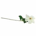Poinsétia flor artificial branca 67cm | Floristik24.pt