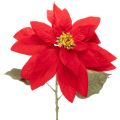 Floristik24 Decoração artificial de poinsétia vermelha com haste única de 82 cm