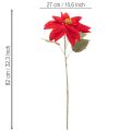 Decoração artificial de poinsétia vermelha com haste única de 82 cm | Floristik24.pt