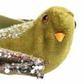 Floristik24 Pássaro de decoração de Natal em clipe verde, glitter 12cm 6pcs sortido