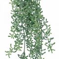 Floristik24 Planta verde suspensa planta artificial suspensa com botões verde, branco 100cm