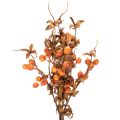 Ramo artificial de espinheiro, decoração de outono, 75 cm | Floristik24.pt