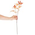 Ramo artificial de espinheiro com folhas e frutos, 62 cm | Floristik24.pt